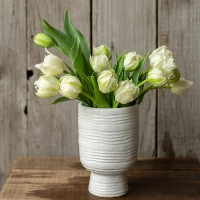 Tulip - Snow Crystal — Pretty Flower Farm